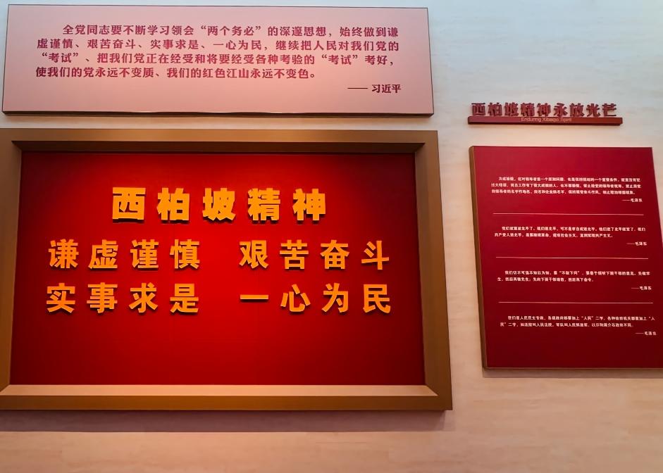 西柏坡主题党日活动9